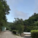 하추자연휴양림 | 1년만에 캠핑 (하추자연휴양림)