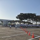 260516 서울신문하프마라톤 대회 다녀왔습니다. 이미지