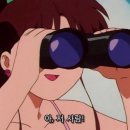쿨걸