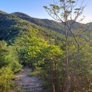 의신초등학교접도분교장 이미지