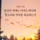 김경미 - 청춘 / 감상 - 김정수, 김현욱 이미지