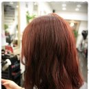도도헤어(dodohair)