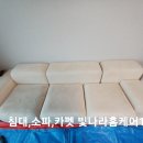 세탁나라 119 이미지