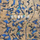 동아대학교 석당미술관 이미지
