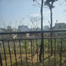 매교역팰루시드단지내공인중개사사무소 | 들어서는 순간 다릅니다 🏠매교역푸르지오SK뷰 2층 35평 매매