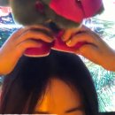 아담스타코 이미지