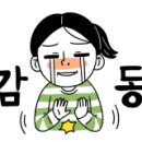 피트아우토 이미지