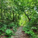 대공산성 등산로 이미지