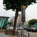 한독주유소 이미지