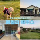 강릉애견하우스 | 강릉 애견동반 독채 펜션 :: 베일리하우스 2박 솔직 후기 (내돈내산💸 강추💘)