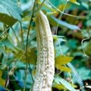 일진에프(주) 네이버블로그