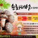 송화빌딩 이미지