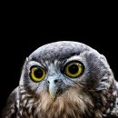 봄봄스테이 이미지