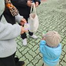 시민카랜드 | 파주 임진각┃아이와 함께 갈만한 곳! 파주 평화랜드&amp;파주임진각평화곤돌라(파주시민 할인)