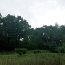 반곡 농장 이미지