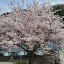 무등파크 골프연습장 이미지