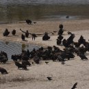 우곡식당 이미지