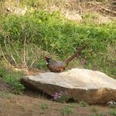 신장개업 이미지