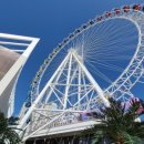 속초우미닭갈비 이미지