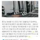 무궁화1체육관 이미지