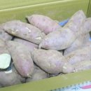 남쪽창고농수산물협동조합 이미지