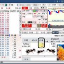 에스와이애드 - 강남구 논현로 503 | 에스와이애드
