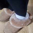 코코러스 이미지