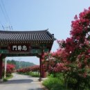 명작골 네이버블로그