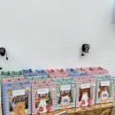 리드인독서논술 공도교습소 | 2025 가을맞이 장터한마당 후기 - 리드인 신답초점