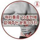 허리통정 없애주는운동 이미지