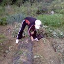 종신농장 이미지