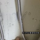 버블독스통영