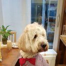 마루세끼 이미지