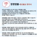 불교의 핵심사상/칭명염불-영산불교 현지사 이미지