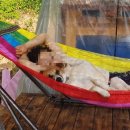 단이농장 이미지