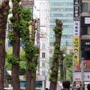 닭발이야기 - 당진시 무수동로 185 | 닭발이야기