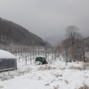 솔봉농원