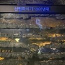 동굴로 | 광명동굴 후기