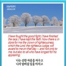 노보현 네이버블로그