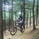 윙바이크 이미지