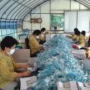 송동경로당 이미지