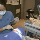 서울좋은생각치과의원 이미지