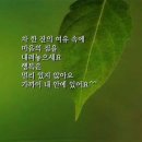 스카이타워 Daum카페