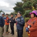 하성초등학교 이미지