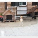 소풍오는 집 이미지