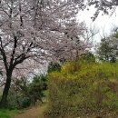 우룡산공원 이미지