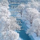 커피의향기