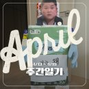 무봤나촌닭무봤나불쭈꾸미 | 4/13 ~ 4/19 주간일기