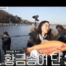 도시어부낚시 네이버블로그