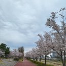 참(charm)행정사 사무소 이미지